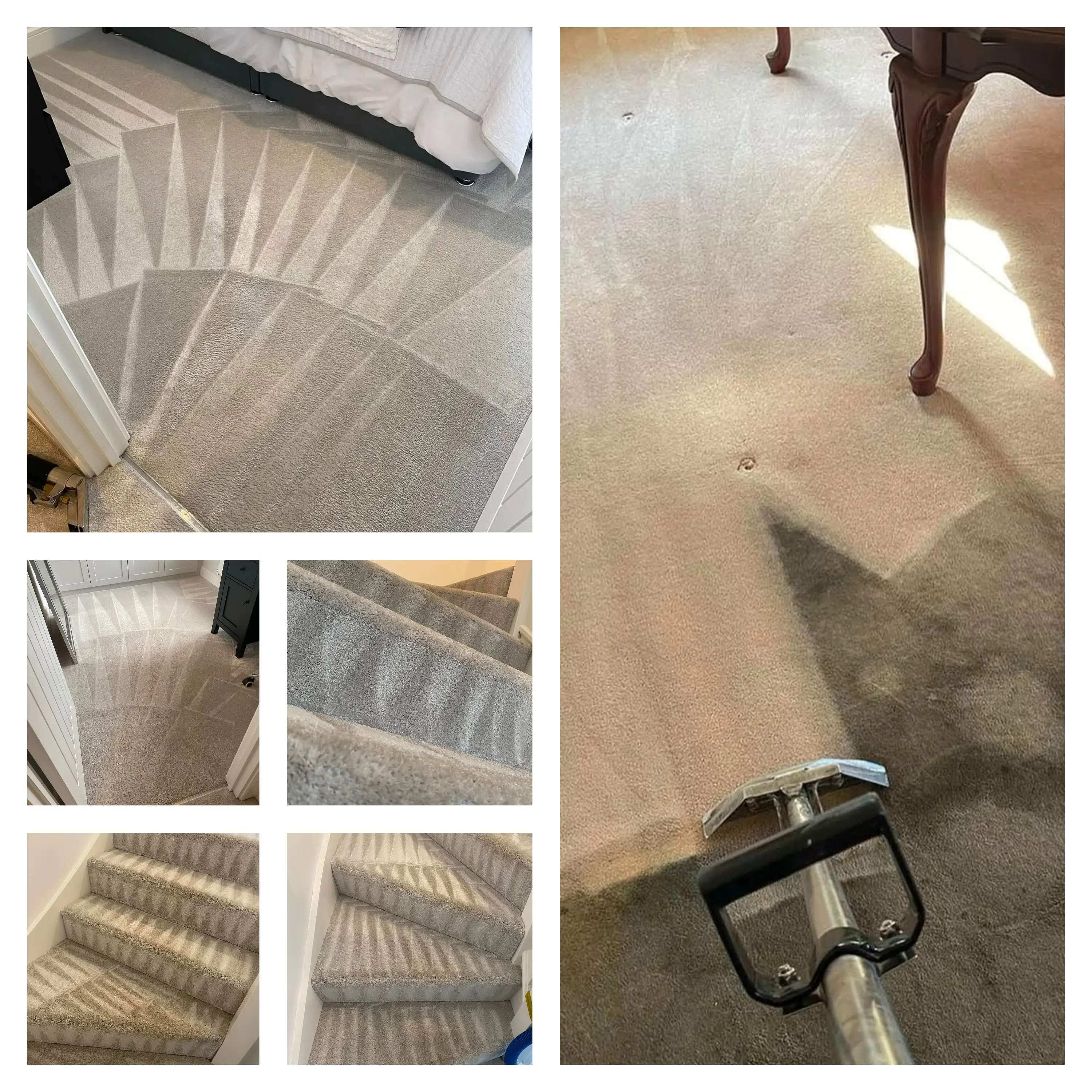 Carpet Cleaning Work 3