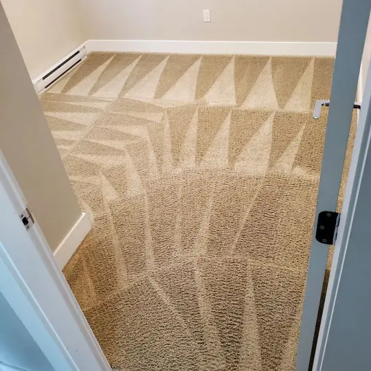 Cleaned Carpet