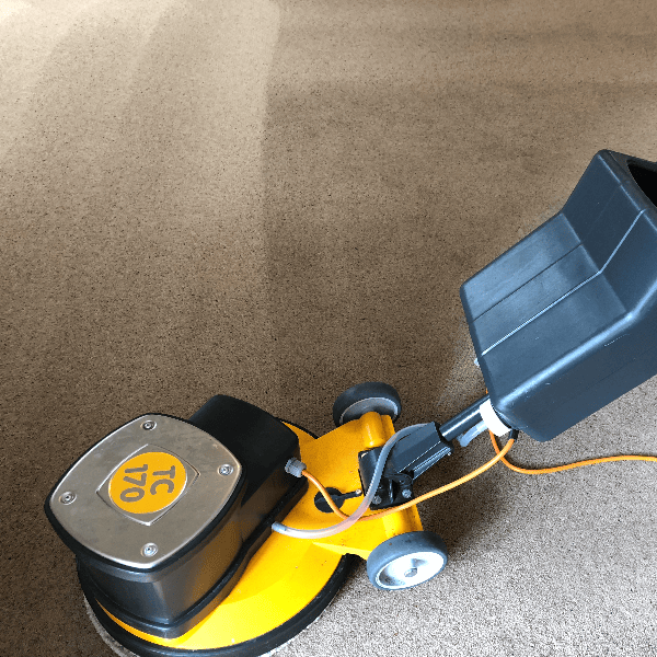 Carpet Cleaning Work 11