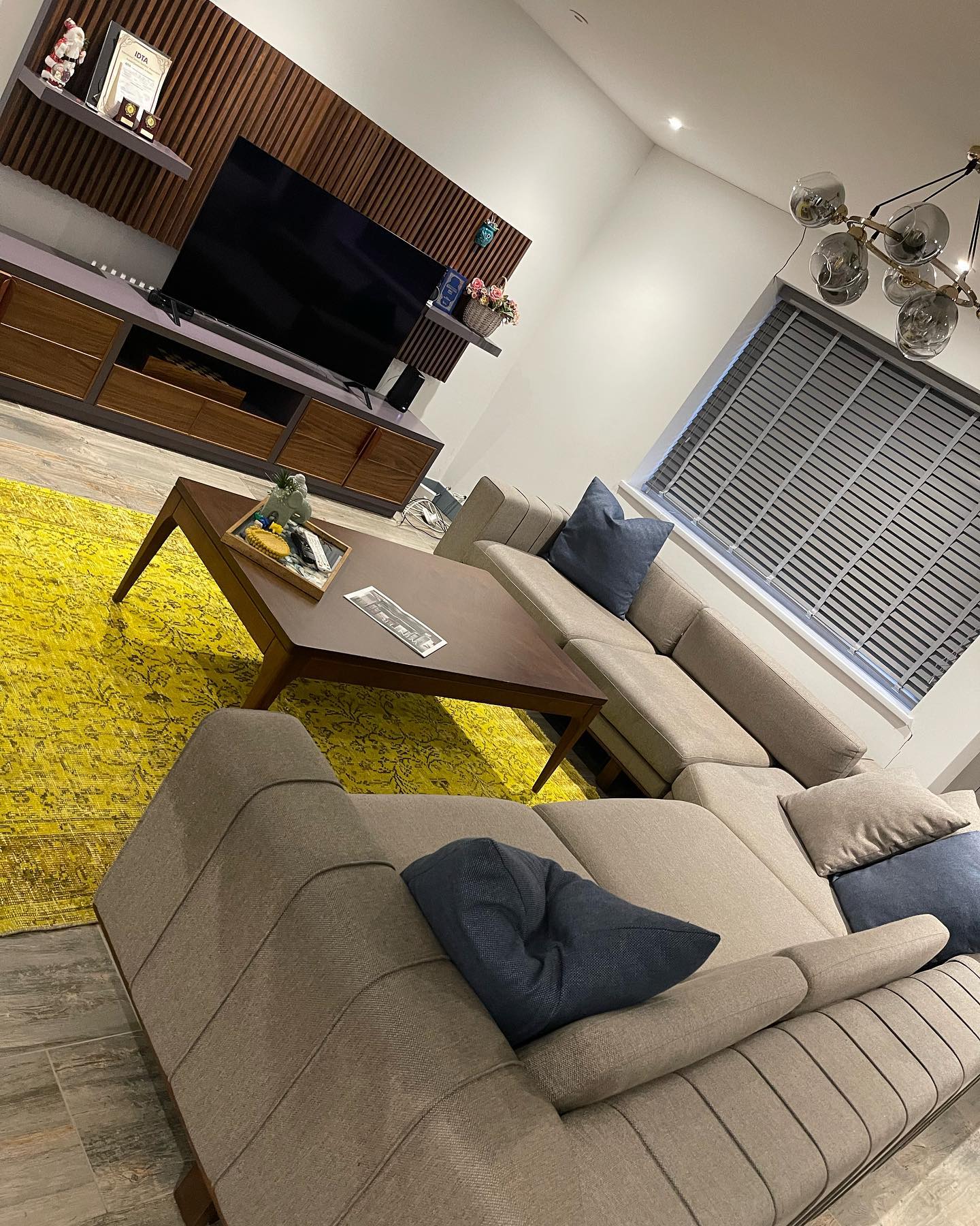Professional Upholstery Cleaning