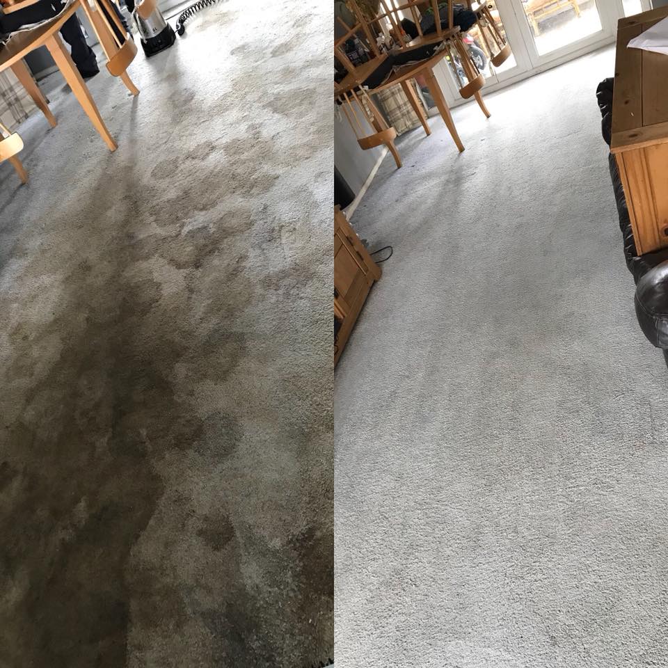 Carpet Cleaning Work 10