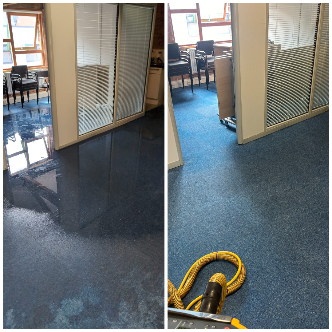 Carpet Cleaning Work 4