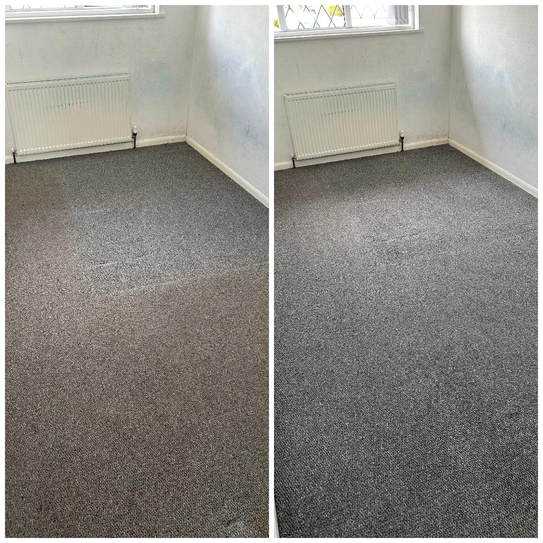 Carpet Cleaning Work 5