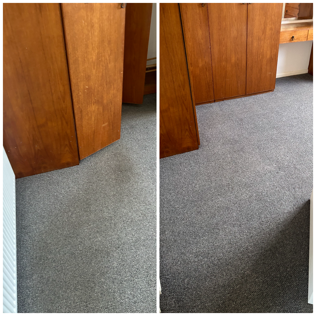 Carpet Cleaning Work 7