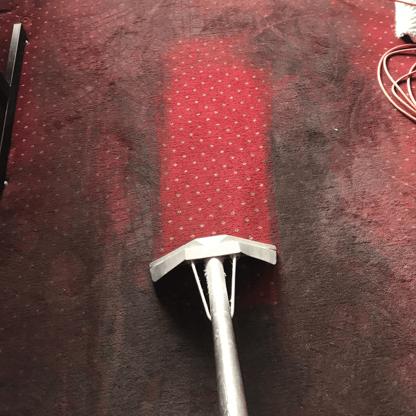 Carpet Cleaning Work 6
